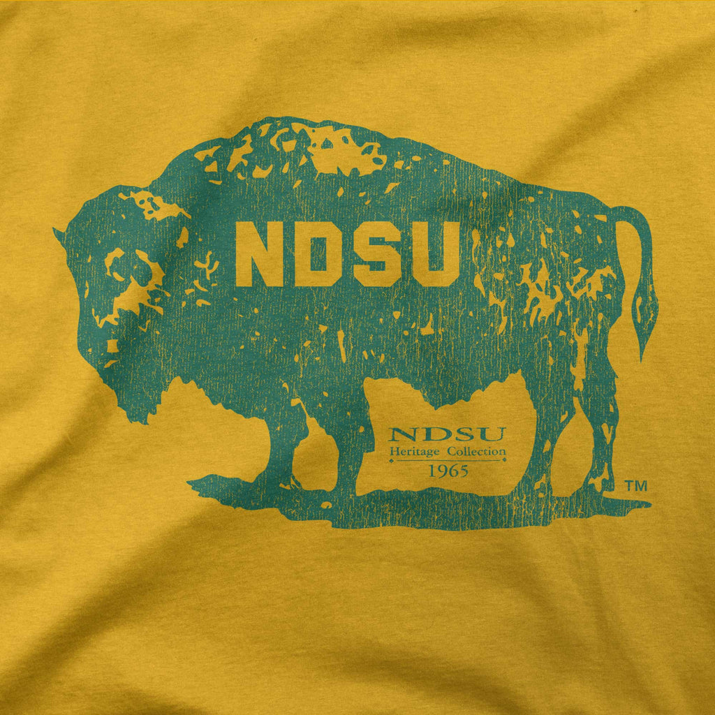 Bison '65