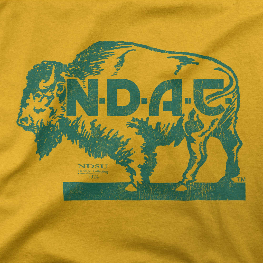 Bison '24